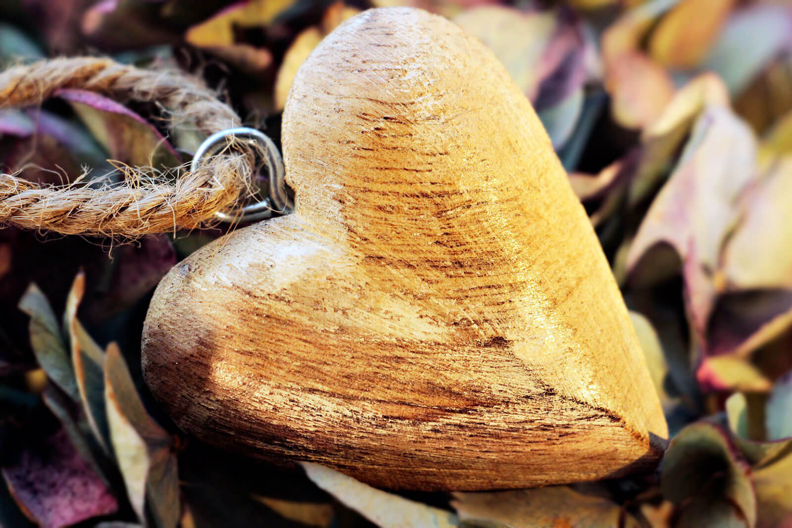 Coração de madeira sobre folhas secas