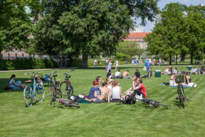 People and bikes on the grass of Churchill Park, Copenhagen.