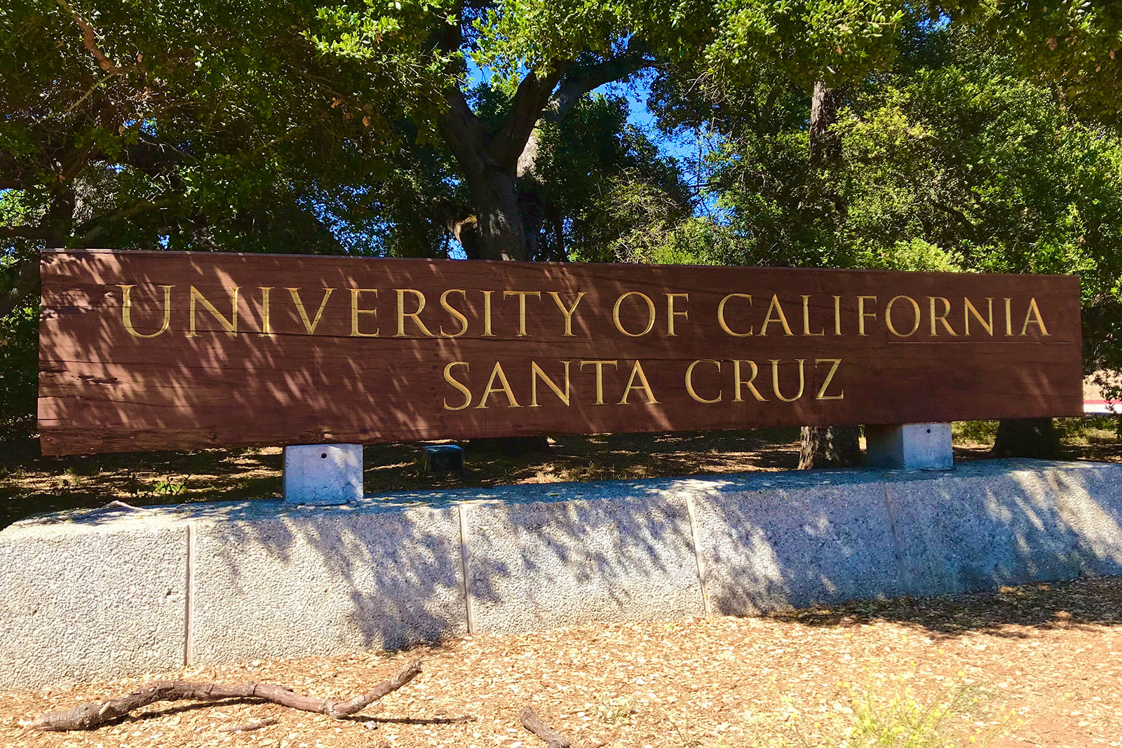 Bloco madeira com nome gravado da Universidade da Califórnia, Santa Cruz