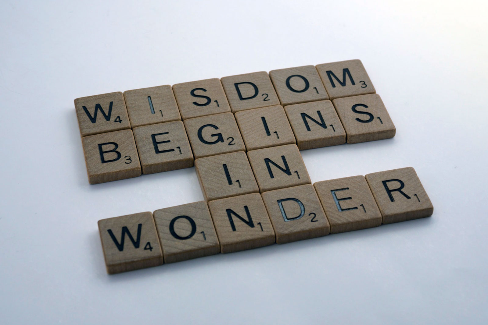 "wisdom begins in wonder" escrito com peças de madeira