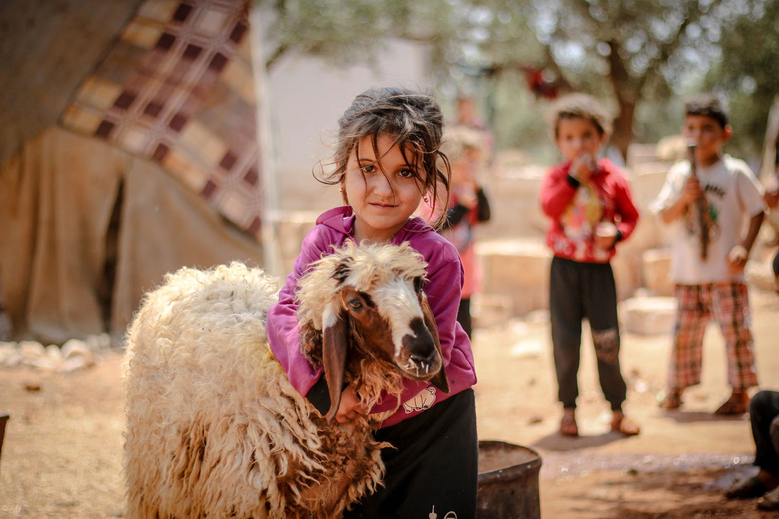 Menina de camisola cor-de-rosa e calças pretas, crianças refugiadas, pobres, a abraçar ovelha e meninos no fundo, em comunidade, com árvores e tenda.