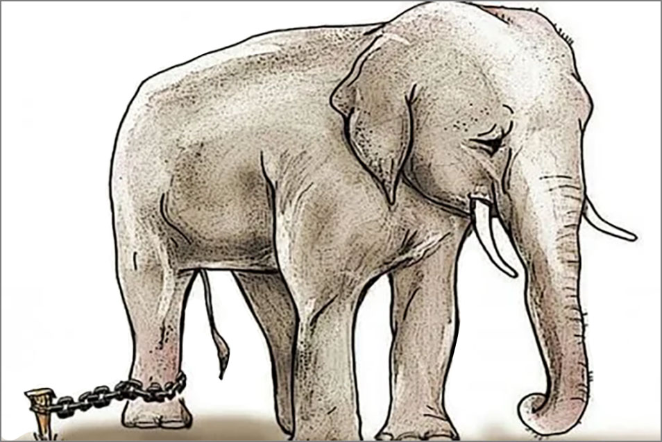 Desenho de elefante adulto, cizento, cabisbaixo, acorrentado a uma pequena estaca preso no chão.