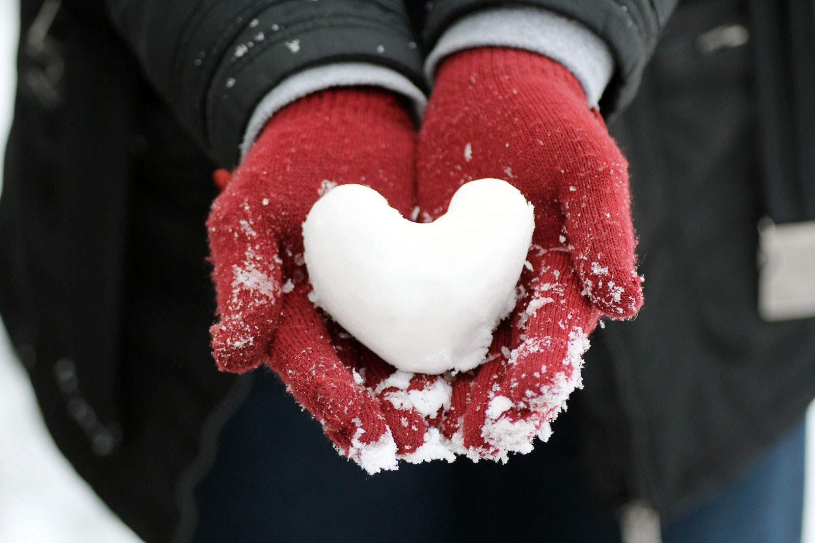 Heart made of white snow, resting in hands covered with red gloves, sprinkled with snow, in a half body covered with a black coat and a gray sweater.